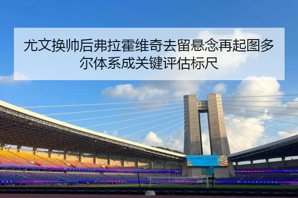 尤文换帅后弗拉霍维奇去留悬念再起图多尔体系成关键评估标尺
